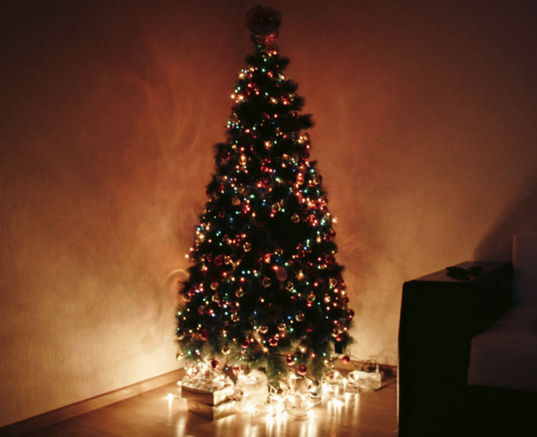 are-americans-“too-poor”-to-celebrate-christmas-thanks-to-bidenomics? 