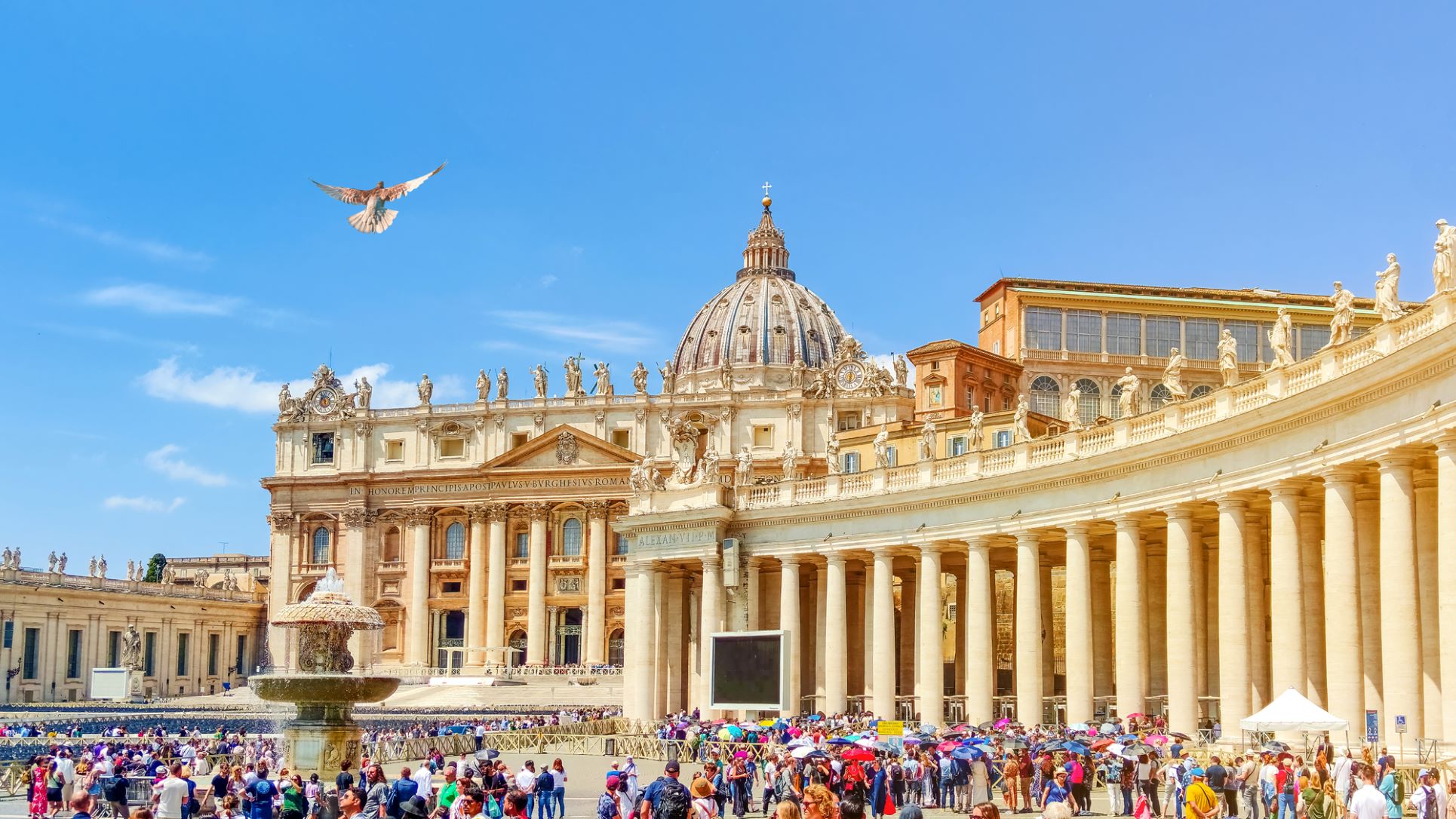 vatican-declares-gender-affirming-surgery/surrogacy-as-grave-violations