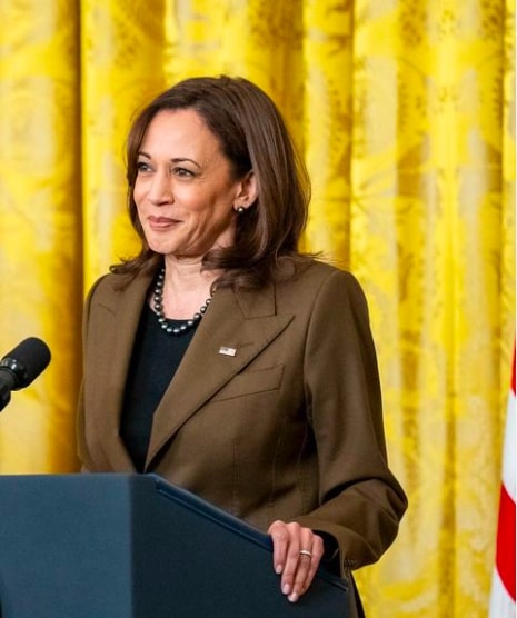 kamala-harris-for-president-is-as-risky-as-joe-biden,-say-some-democrats