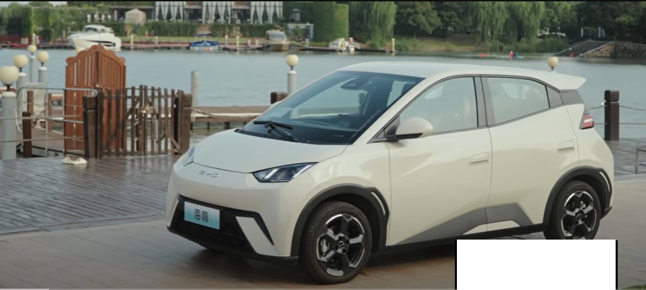 seagull:-a-tiny-electric-car-making-american-automakers-nervous