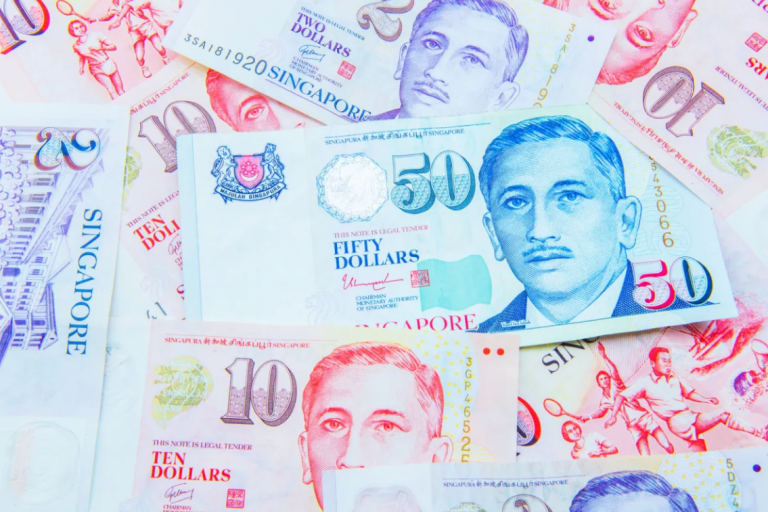 SGD among top currencies in global Black Friday-Cyber Monday transactions