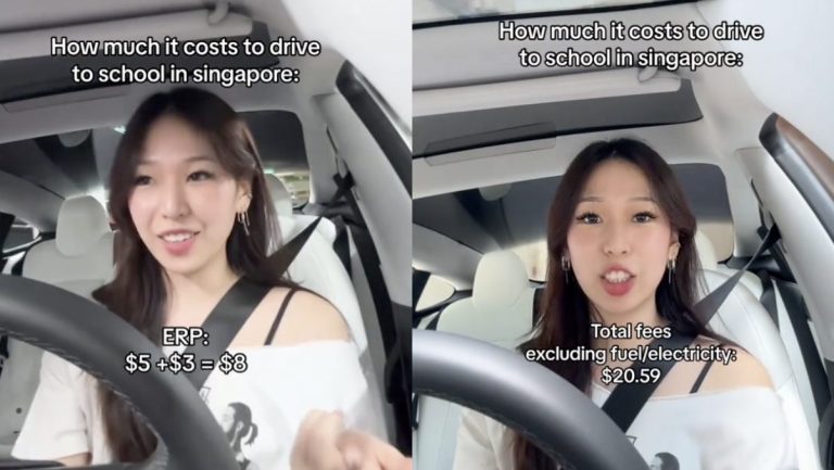 Singaporean student says it costs her S$20.59 to drive a car to school, so her “moral of the story is don’t go to school, just stay at home”