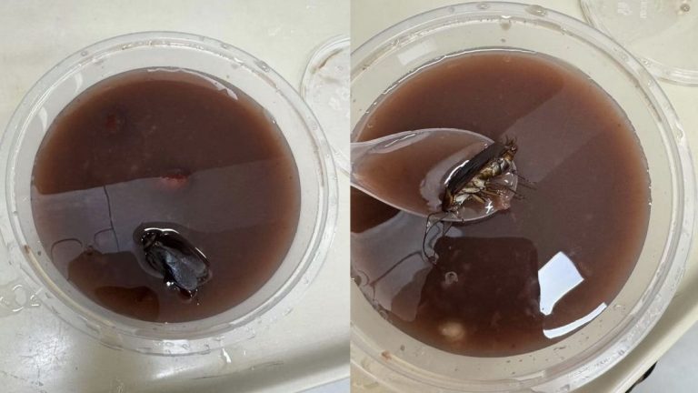 Diner says she found a cockroach in her bowl of soup, while the eatery manager says, “We don’t know if it came from our shop”