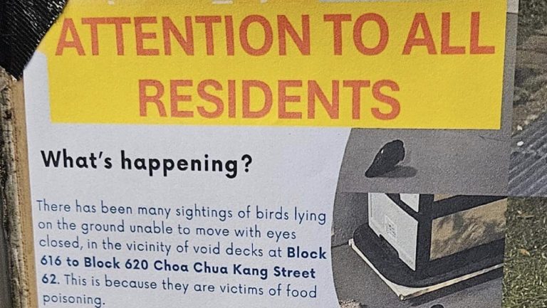 ACRES warns residents to take precautions with their dogs after a man was seen poisoning pigeons at Choa Chu Kang