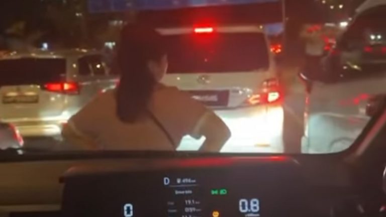 Yet another woman body-blocks vehicle at JB checkpoint to allow SG-registered vans to cut in