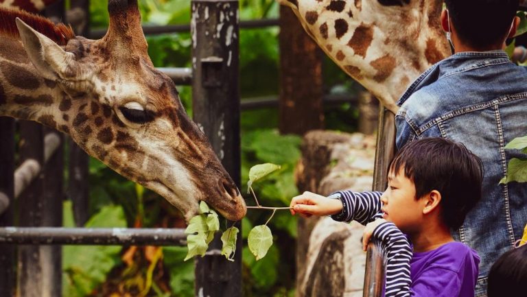 Johoreans embrace their new official weekend holiday for family fun and recreation